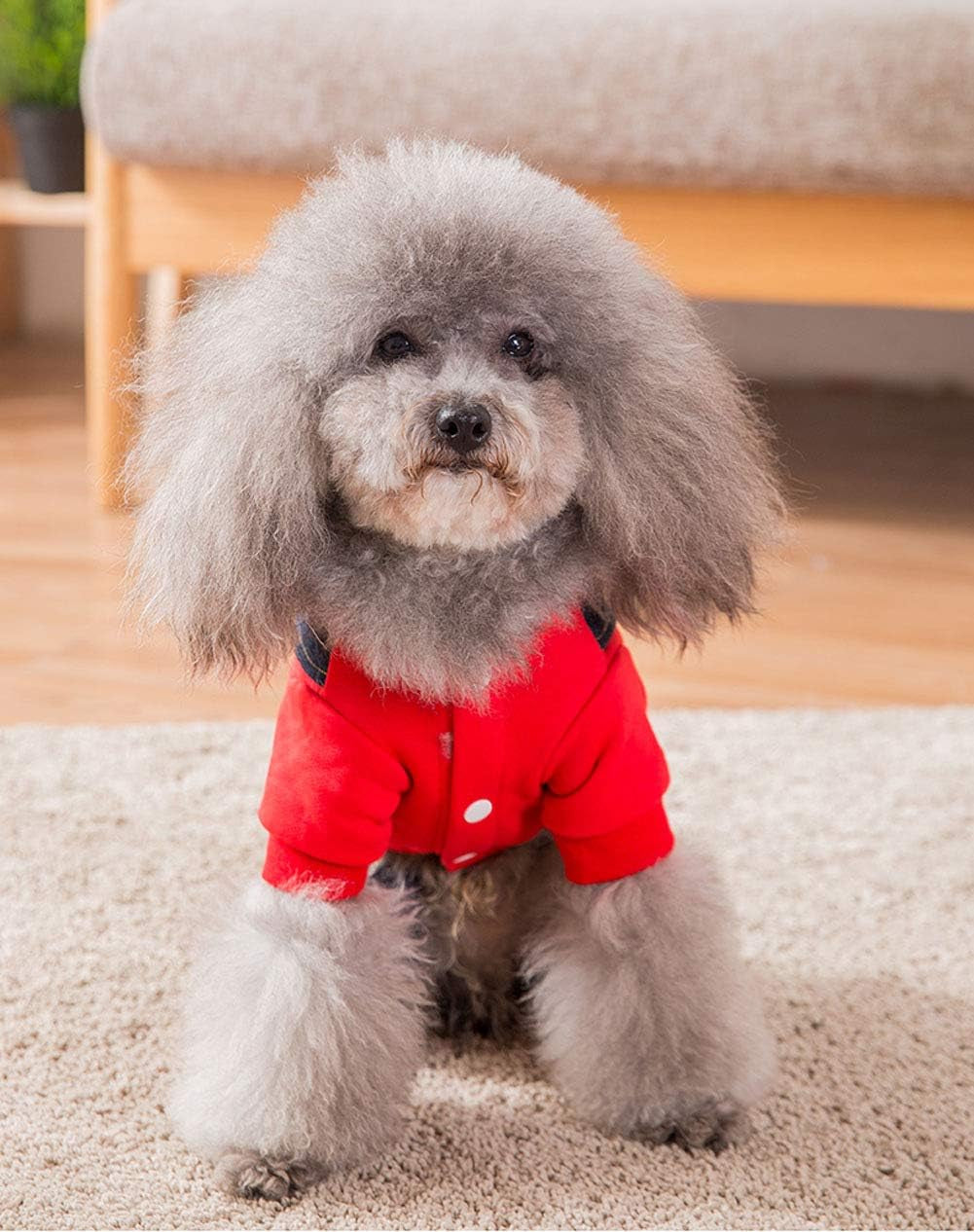 Dog Costume Clothes, Cute Denim Overalls for Small & Medium Pets, Boy & Girl Dogs Coats Jeans T-Shirts Sweatshirts