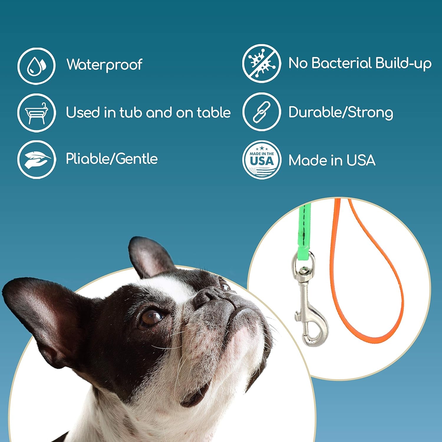 Jelly Pet Grooming Lead for Dogs | Great for Kennels, Veterinarians and Dog Grooming Salons | Biothane Leash - Easy to Clean, Waterproof & Durable Noose Loop | Made in USA | 3/8'' X 4'