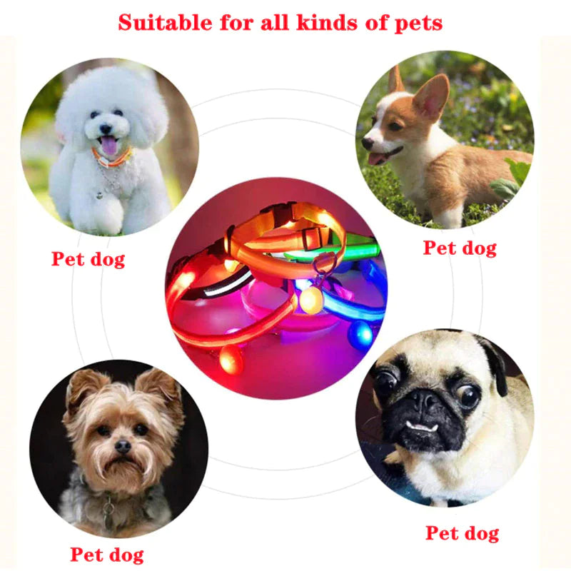 BrightGlow LED Dog Collar