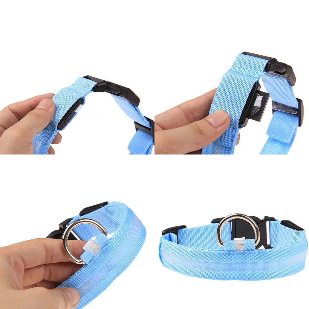 BrightGlow LED Dog Collar